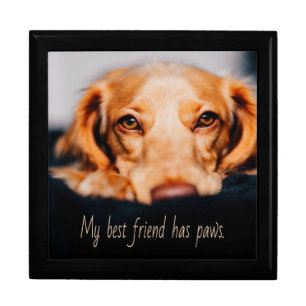 My Best friend has paws dog, Puppy Meme Gift Box
