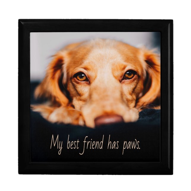 My Best friend has paws dog, Puppy Meme Gift Box (Front)