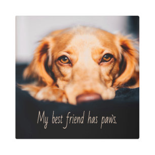 My Best friend has paws dog, Puppy Meme Metal Print