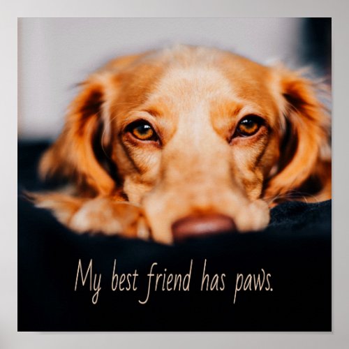 My Best friend has paws dog Puppy Meme Poster