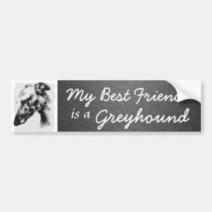 My Best Friend is a Greyhound Bumper Sticker