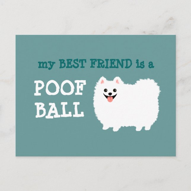 My Best Friend is a Poof Ball - White Pomeranian Postcard (Front)