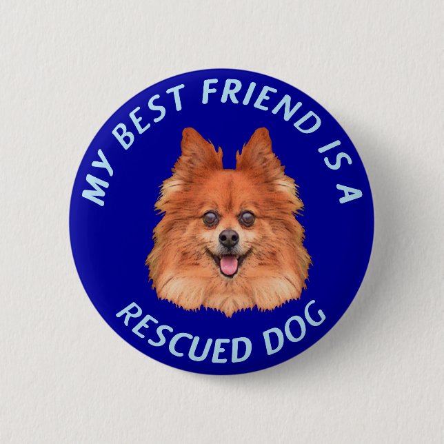 My Best Friend (Pomeranian) Pinback Button (Front)