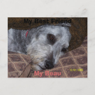 My Best Friend Postcard