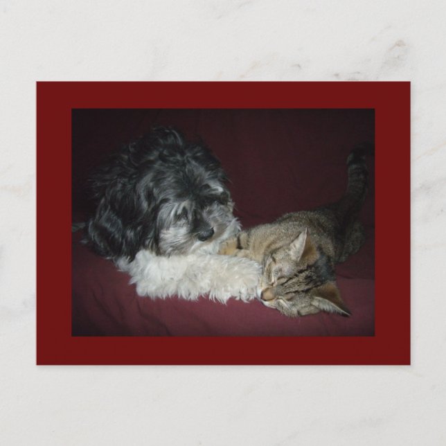 My best friend postcard (Front)