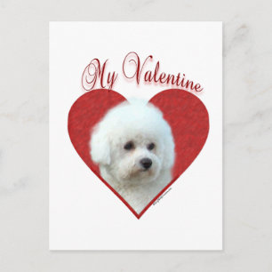 My Bichon Frise Valentine Holiday Postcard