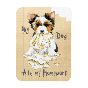 My Biewer Terrier Ate My Homework Magnet