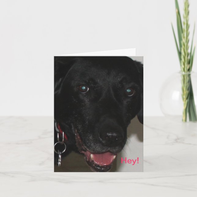 My Black Lab Thank-You Card (Front)