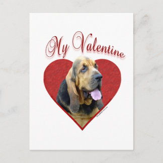 My Bloodhound Valentine Holiday Postcard