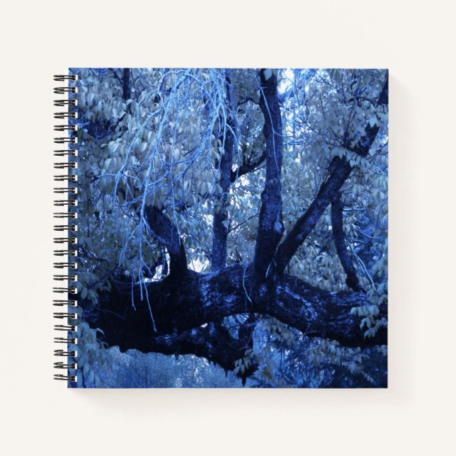My blue Winter.... Notebook (Front)