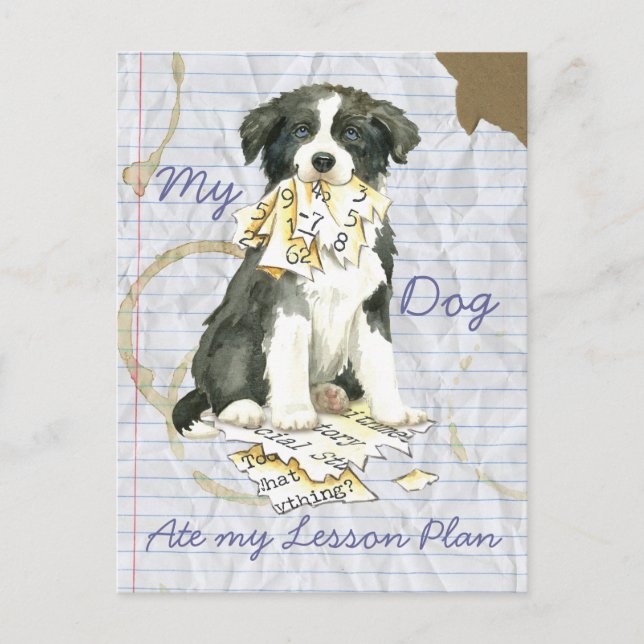 My Border Collie Ate my Lesson Plan Postcard (Front)
