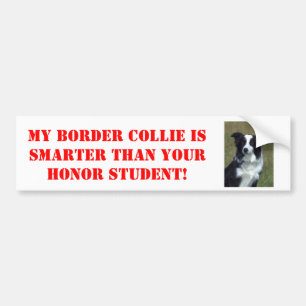 My Border Collie is Smarter Than Your Honor... Bumper Sticker