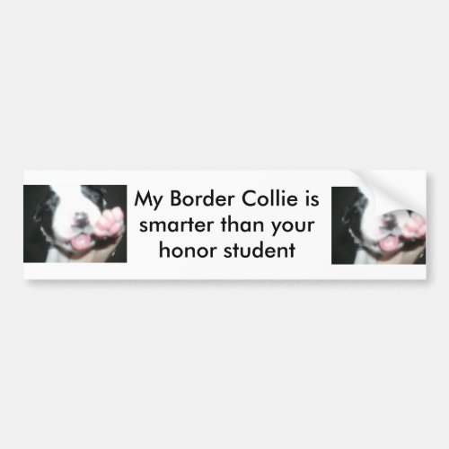 My border collie is smarter than your honor studen bumper sticker