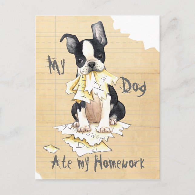 My Boston Terrier Ate My Homework Postcard (Front)