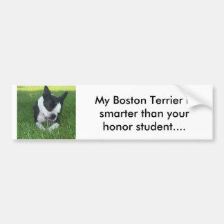 My Boston Terrier is smarter than your honor s. Bumper Sticker