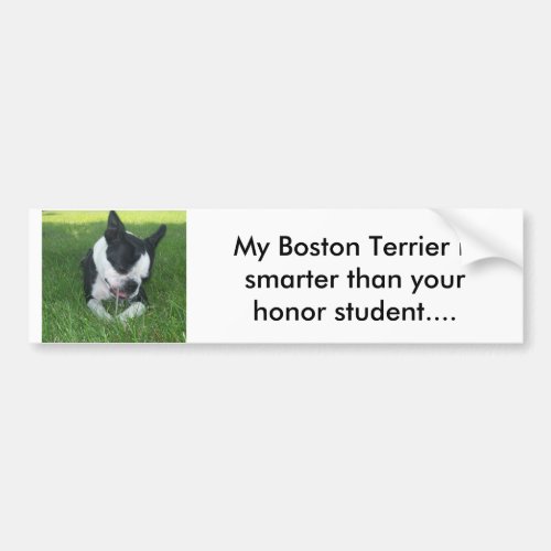 My Boston Terrier is smarter than your honor s Bumper Sticker