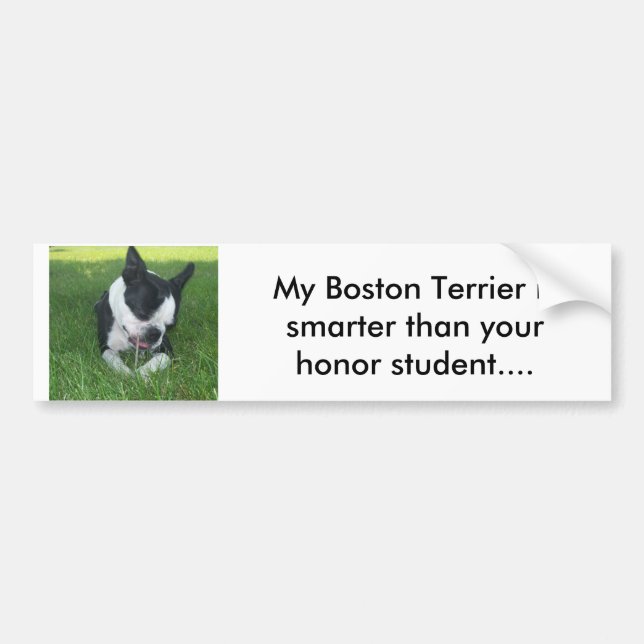 My Boston Terrier is smarter than your honor s. Bumper Sticker (Front)