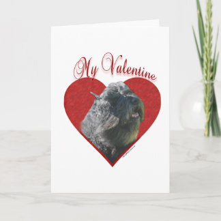 My Bouvier des Flandres Valentine Holiday Card