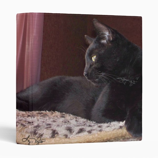 My Boy, Charlie Binder (Front/Spine)