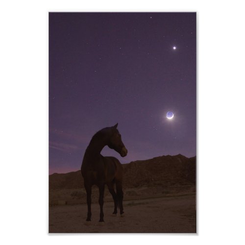 My Boy Loves the Moon Photo Print