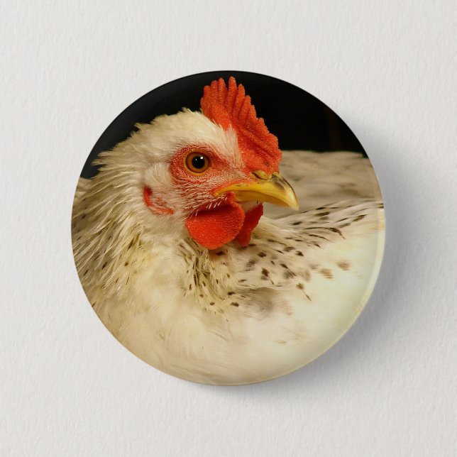 My Boy Pinback Button (Front)