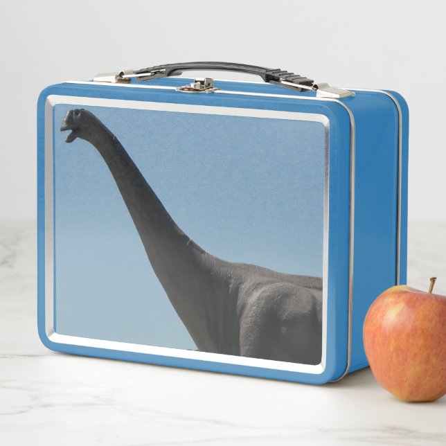 My Brontosaurs Dinosaur Metal Lunch Box (In Situ)