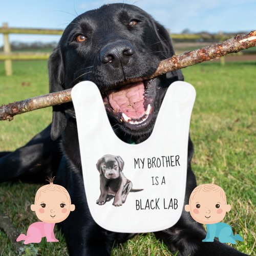 My Brother Is A Black Lab Baby Bib