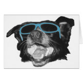 My Buddy  (Front Horizontal)