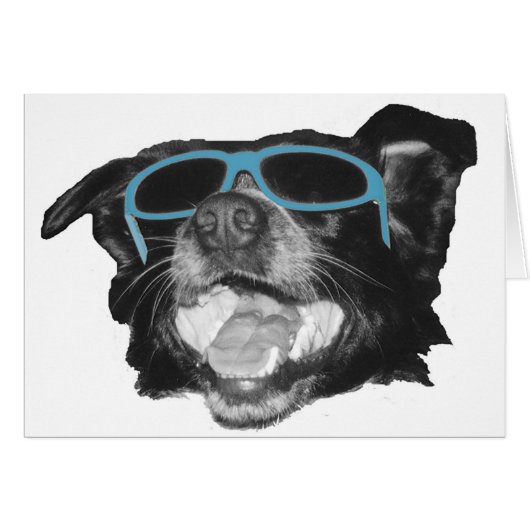 My Buddy (Front Horizontal)