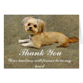 My Buddy_ (Front Horizontal)