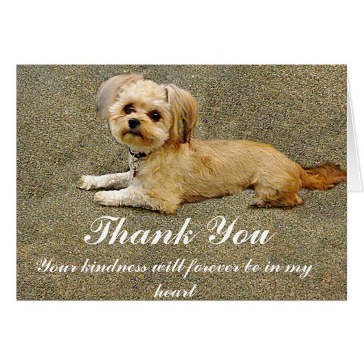 My Buddy_ (Front Horizontal)