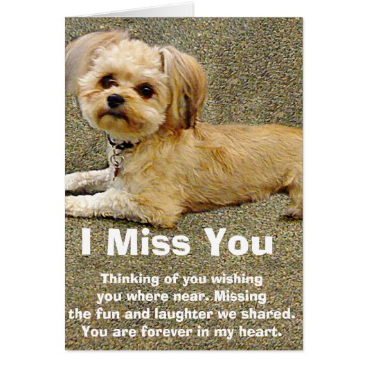My Buddy_ Cards (Front)