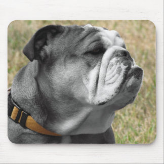 MY BULLY MOUSE PAD