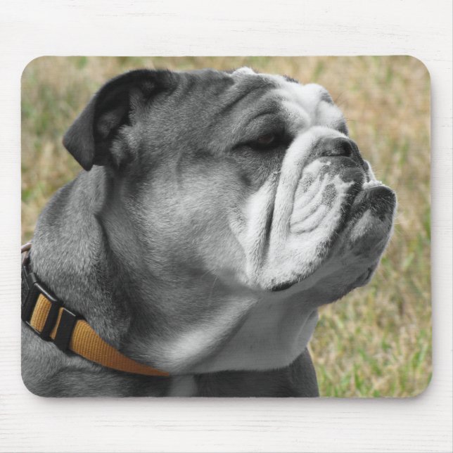 MY BULLY MOUSE PAD (Front)