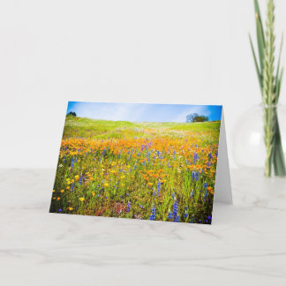 My California 1 Card