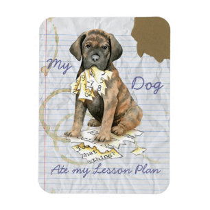 My Cane Corso Ate My Lesson Plan Magnet
