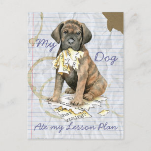 Cane Corso Dog Black  Postcard for Sale by ElegantCat