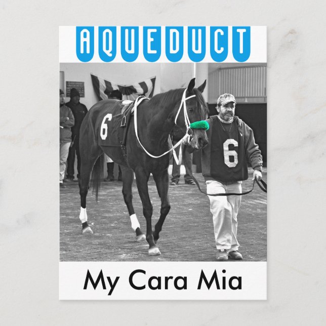 My Cara Mia Postcard (Front)