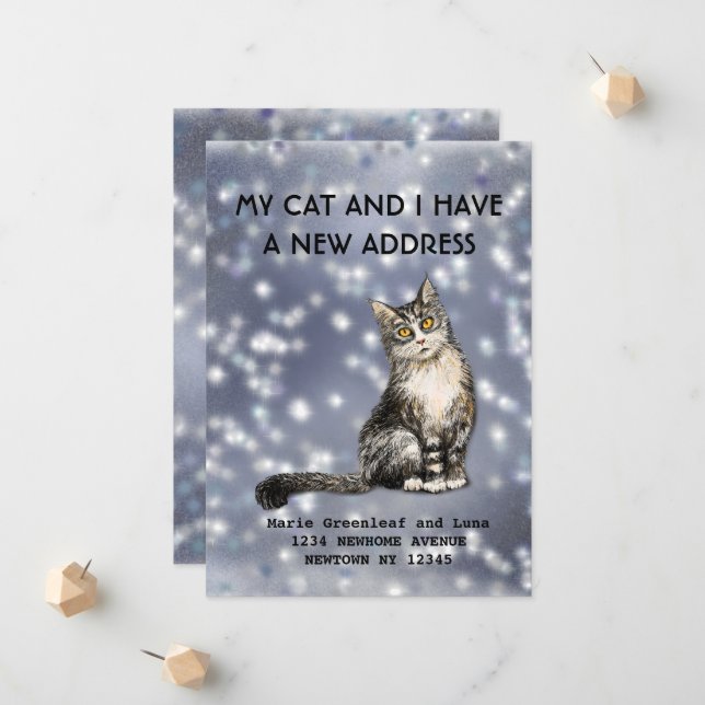 My cat and I have moved Announcement (Front/Back In Situ)