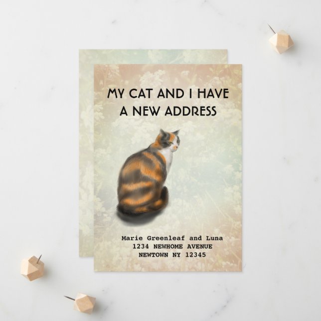 My cat and I have moved Announcement (Front/Back In Situ)