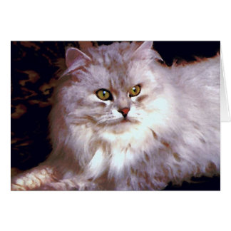 My cat cards
