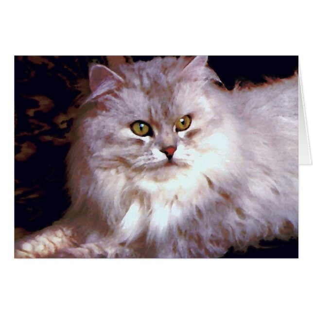 My cat cards (Front Horizontal)