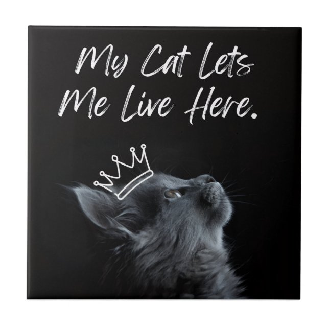 My Cat Lets Me Live Here Ceramic Tile (Front)
