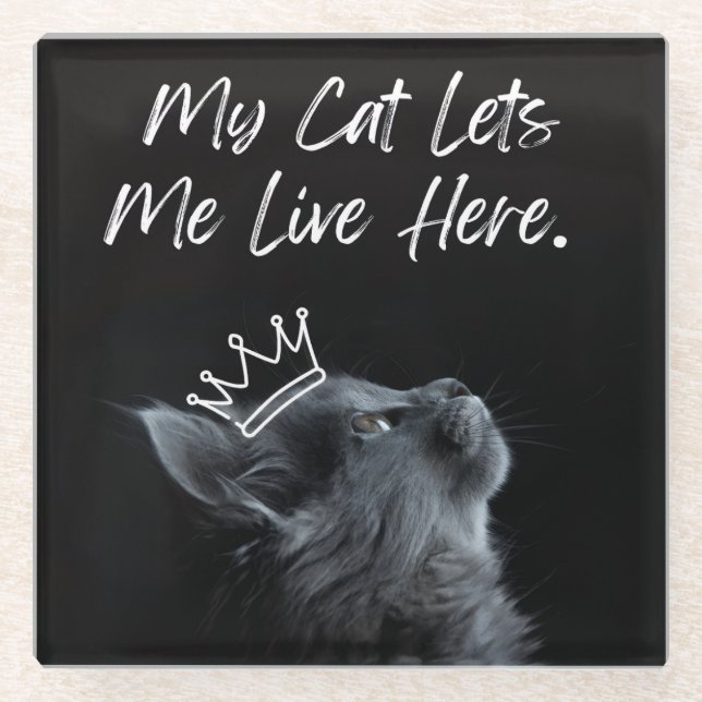 My Cat Lets Me Live Here Glass Coaster (Front)