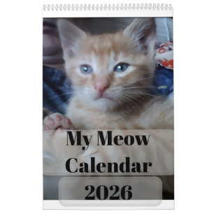 My Cat Photo Quotes Customize Fun Calendar