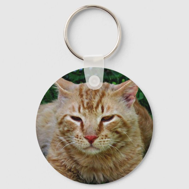 My Cat Rudy Keychain (Front)