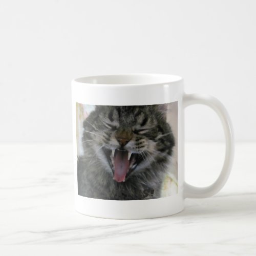 My cat thinks im crazy Meme Coffee Mug