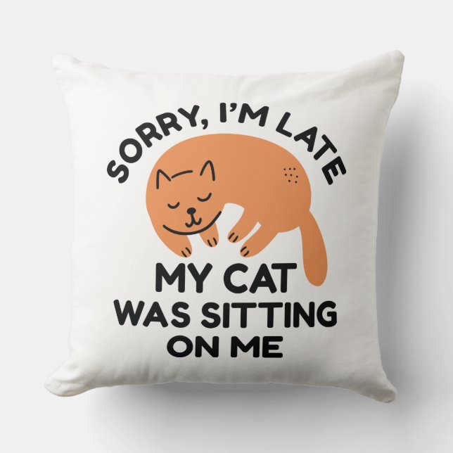My Cat Was Sitting On Me Throw Pillow (Front)
