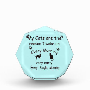My Cats are the Reason I Wake Up Acrylic Award