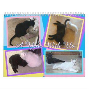 My Cats Calendar